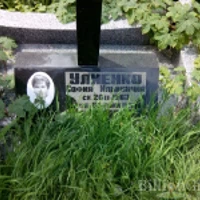 София Улиенко