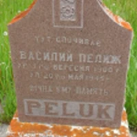 Peluk