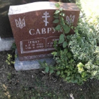 Соня Саврук