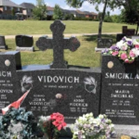 Paul Vidovich