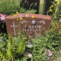 Stefan Lazor
