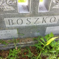 JOHN BOSZKO
