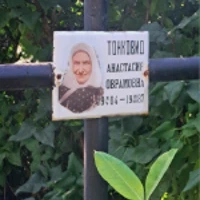 Анастасия Тонковид