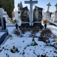 Ангела Ярицька