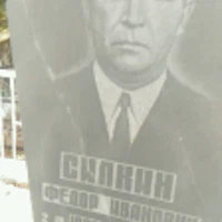 Федор Силкин