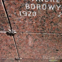 Andrej Borowycz