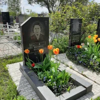 Анна Троненко