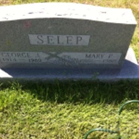 GEORGE SELEP