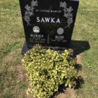 Morris Sawka
