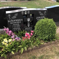 Zenart Dziadyk