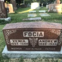 Xenia Focia