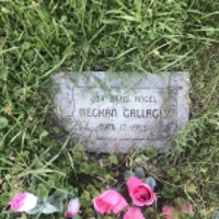 Meghan Gallagly