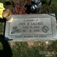 Joey Lacobee