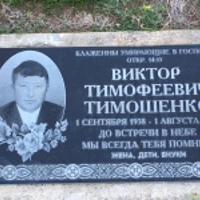 Виктор Тимошенко