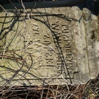 SOPSKI WAWRZYNIEC