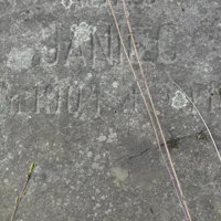 JANIEC ADAS