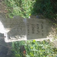 Tadeusz Hincz