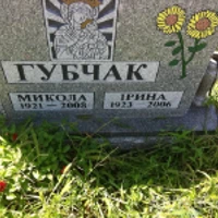 Николай Губчак
