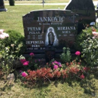 Peter Jankovic