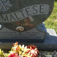Joseph Maltese
