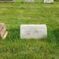 Harry Sorochak