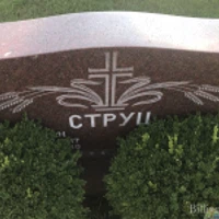 Анізя Струц