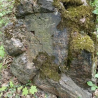 Balbina Kedrzecka