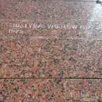 Justyna Wojiowygz