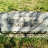 Harry Kalnicki