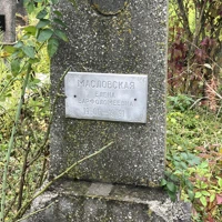Елена Масловская
