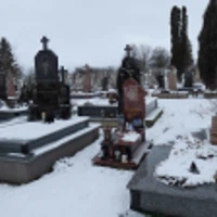 Алінка Газдевич