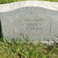 Davey Popel