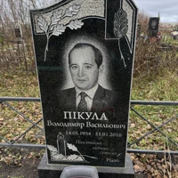 Володимир  Пікула