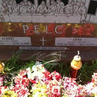 Albert Pelc