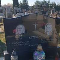 Дмитро Білевич