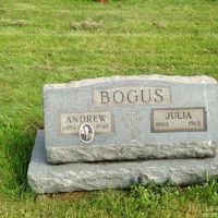 Andrew Bogus