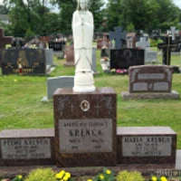 Petro krenca