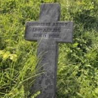 Anton Lohmeyer