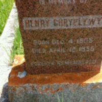 Henry Chryplywy