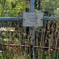 Парасковія Тернова