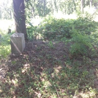 Grob Rodziny Godziembów