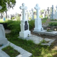 Анна Кіт