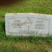 Dmytro Pidsadny