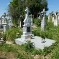 Степанія Кулик
