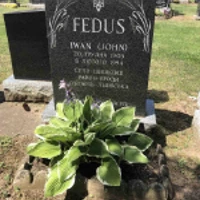 Iwan Fedus