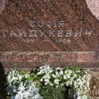 Софія Гайдукевич