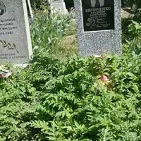 Владимир Виниченко