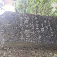 Józefa Palmir - Patryarsz