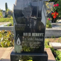 Henryk Bres