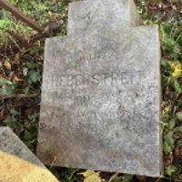 Juliusz Hebenstreit